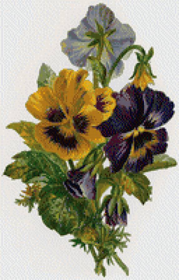 цветы - цветы - предпросмотр