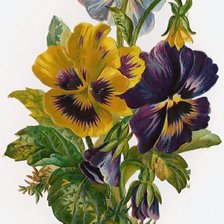 Схема вышивки «цветы»