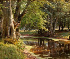 Схема вышивки «лесная речка»