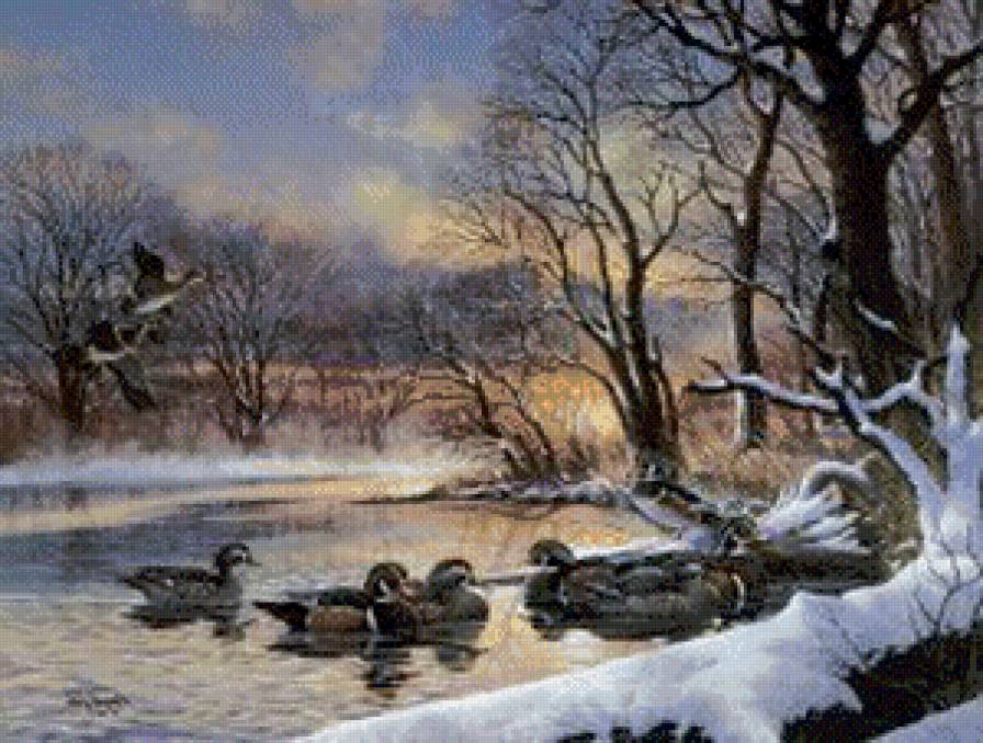 утки на озере - утки, птицы, озеро - предпросмотр