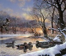 Схема вышивки «утки на озере»