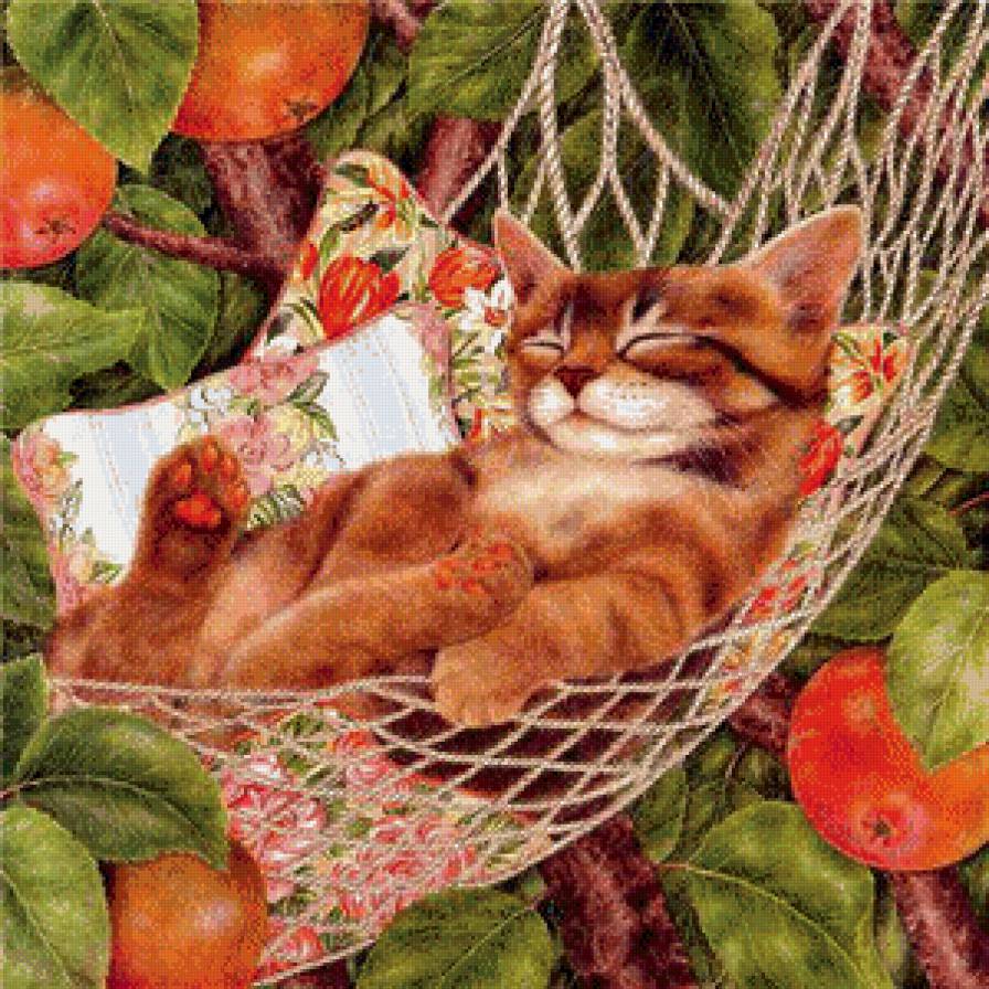 Кот - кошки, котята - предпросмотр