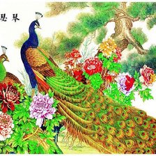 Схема вышивки «Павлины»