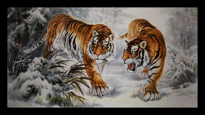 Тигры - животные, зима, тигры - оригинал