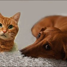 Схема вышивки «друзья»