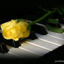 Схема вышивки «Желтая роза»