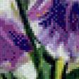 Предпросмотр схемы вышивки «Ирисы» (№456292)