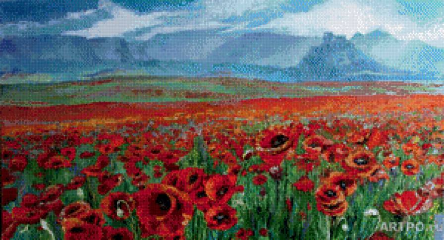 Маковое поле - маки, летний пейзаж, цветы, лето - предпросмотр