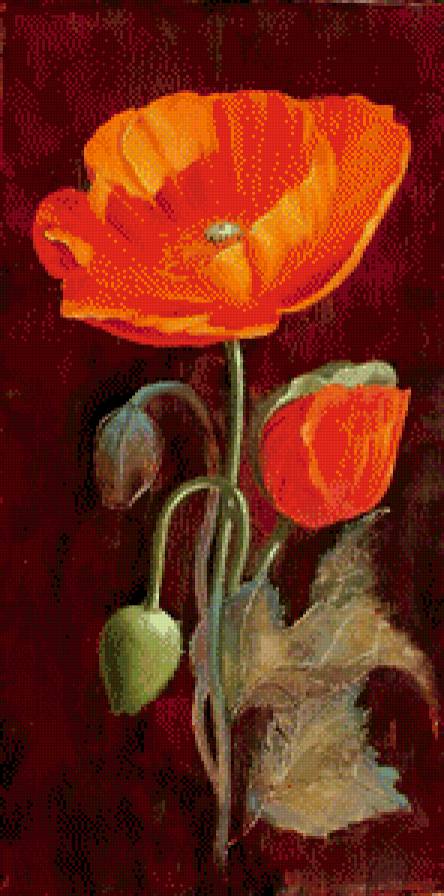 маки - цветы, маки, живопись - предпросмотр