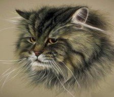 Схема вышивки «кот»