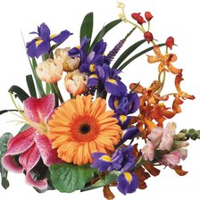 Схема вышивки «№456373»