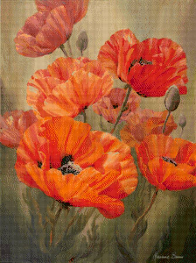 маки - цветы, маки, живопись - предпросмотр