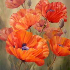 Схема вышивки «маки»