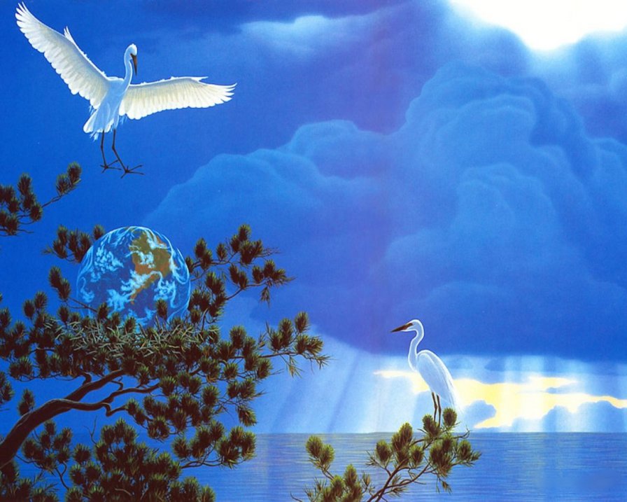 аисты - пейзаж, птицы, природа, море - оригинал