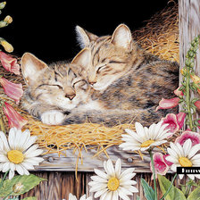 Схема вышивки «близнецы»