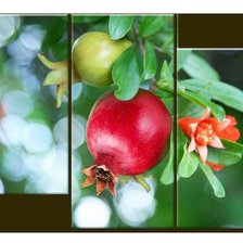 Схема вышивки «Триптих Гранат»