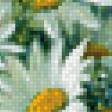 Предпросмотр схемы вышивки «ромашки» (№456634)