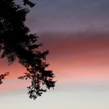 Схема вышивки «природа»