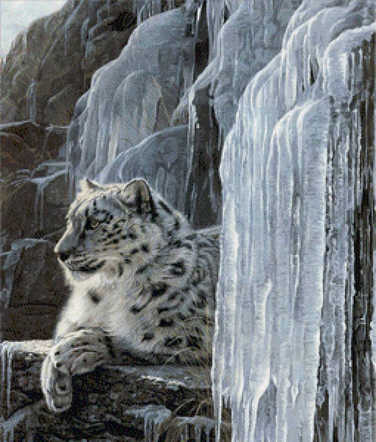 снежный барс - предпросмотр