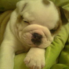 Схема вышивки «лаки»