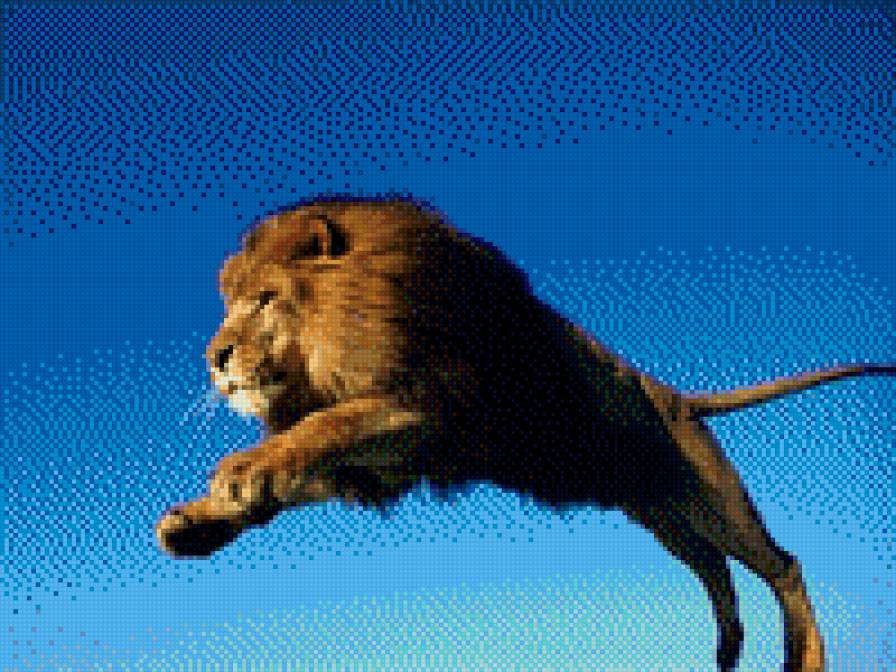 полёт льва - предпросмотр