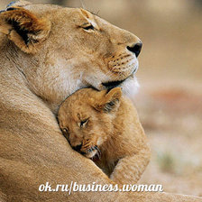 Схема вышивки «Нежность»