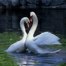 Схема вышивки «Лебеди»