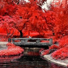 Схема вышивки «Красное»