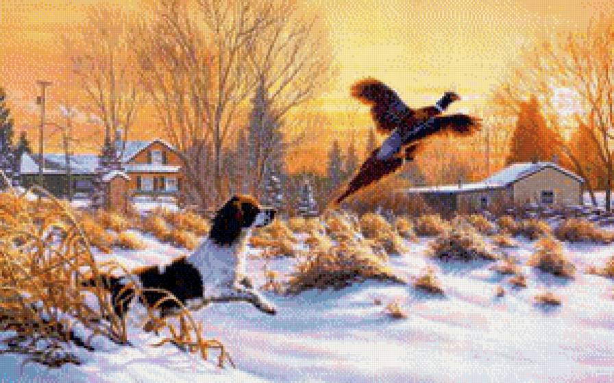 охота - собаки, охота - предпросмотр