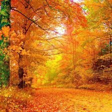 Схема вышивки «осенний пейзаж»