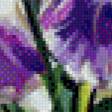 Предпросмотр схемы вышивки «Ирисы 2» (№457076)