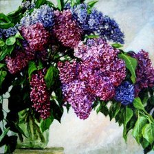 Букет сирени