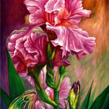 Схема вышивки «Ирисы»