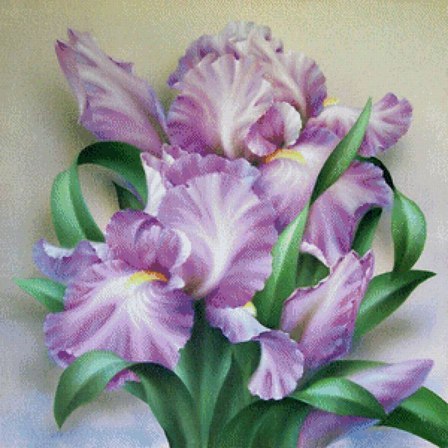 Букет ирисов - букет, ирисы, цветы - предпросмотр