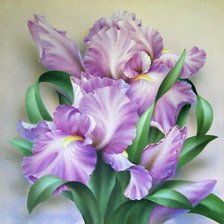 Букет ирисов