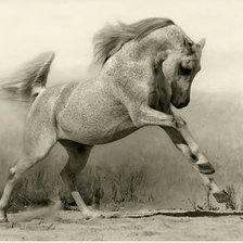 Схема вышивки «конь»