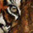 Предпросмотр схемы вышивки «тигр» (№457401)