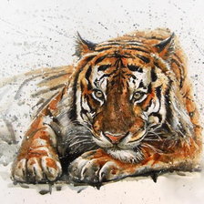 Схема вышивки «тигр»