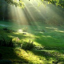 из цикла Пейзажи.