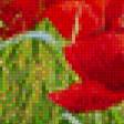 Предпросмотр схемы вышивки «пейзаж с маками» (№457450)