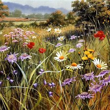 Схема вышивки «поле с цветами»