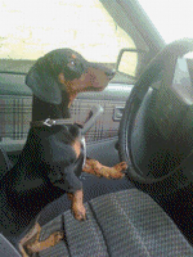 дама за рулем - предпросмотр