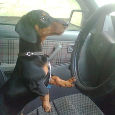 дама за рулем