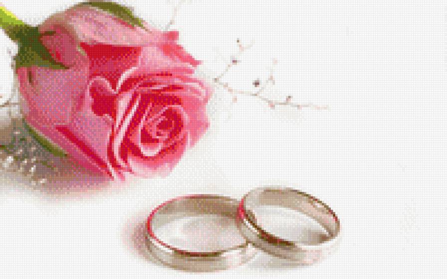 кольца - свадьба - предпросмотр
