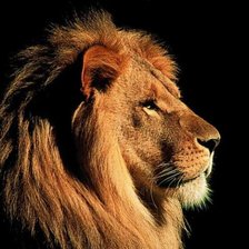 Схема вышивки «Царь зверей»