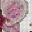 Предпросмотр схемы вышивки «орхидея» (№457649)