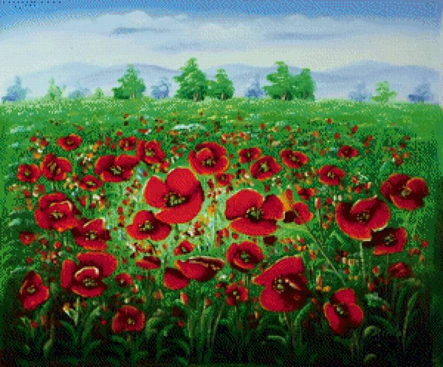 Маковое поле - лето, цветы, летний пейзаж, маки - предпросмотр