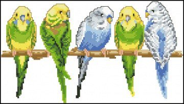 попугаи - оригинал
