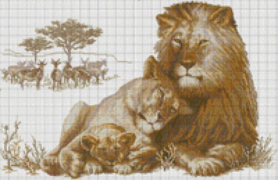 семья лев - предпросмотр