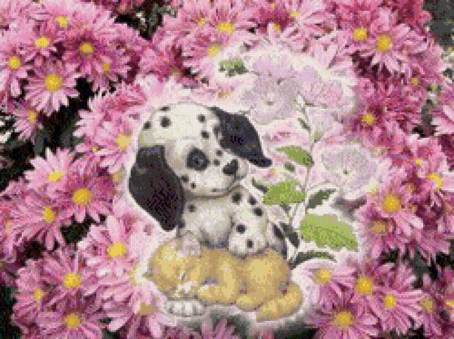 малыши - детское - предпросмотр